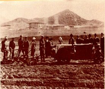 Plowing at the UCR Citrus Experiment Station