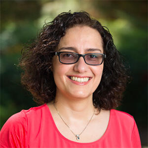 Hoori Ajami