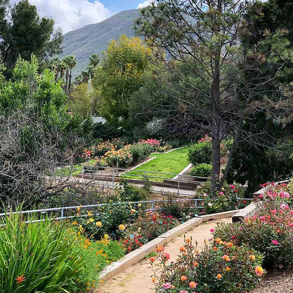 UCR Botanic Gardens
