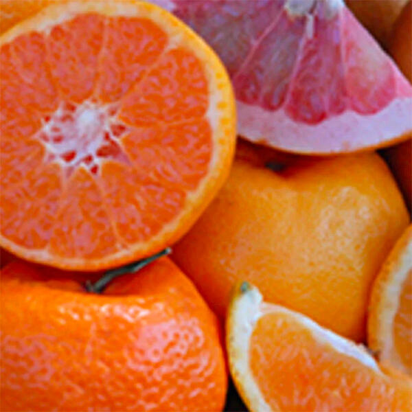 Citrus Variety Collection