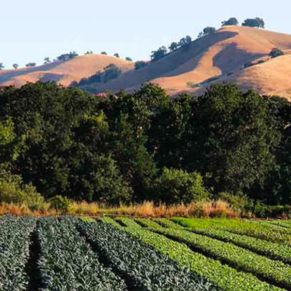 Cooperative Extension