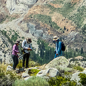 Earth and Planetary Sciences