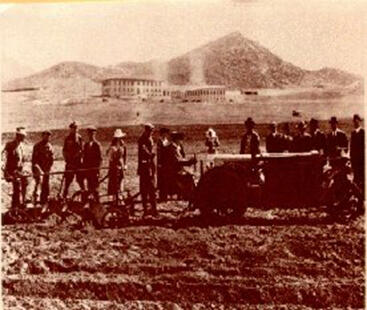 Plowing Demonstration at the UCR Citrus Experiment Station