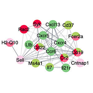 Molecular, Cell and Systems Biology