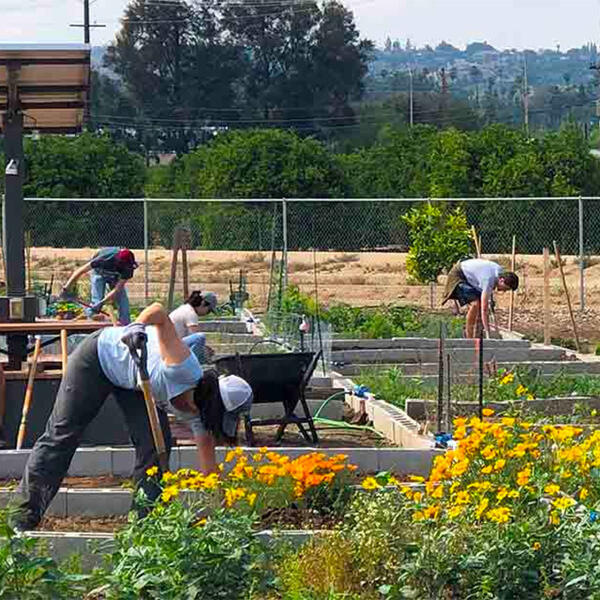 R'Gardens