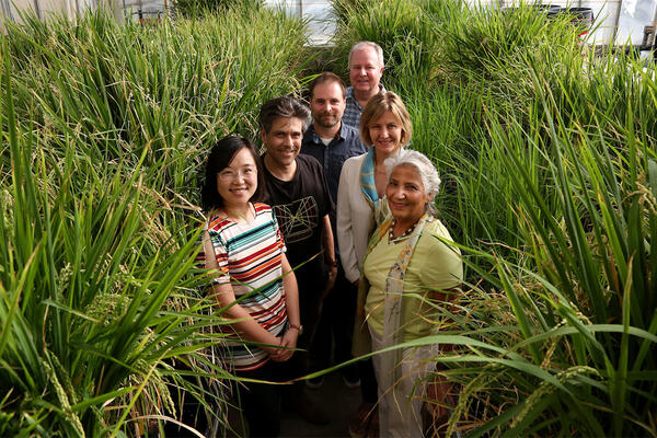 Tolerant and Resilient Plants Research at UCR